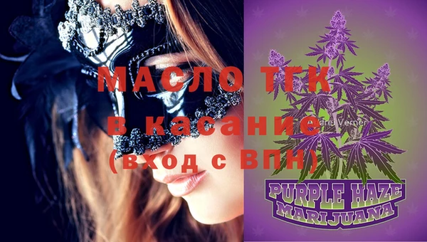 крисы Новозыбков