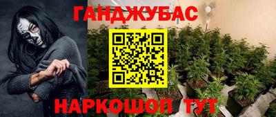 эйфоретик Новозыбков