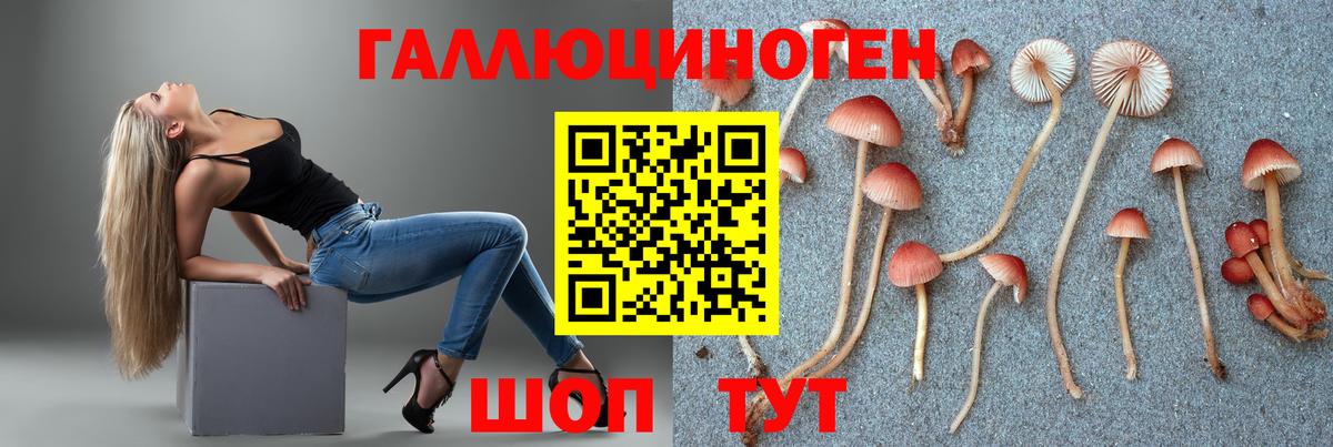 Благовещенск  Галлюциногенные грибы Magic Shrooms  Галлюциногенные грибы Psilocybine cubensis  Вход с VPN 